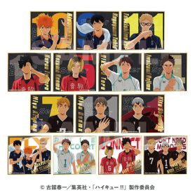 Haikyu!! Visual Shikishi Collection 8  [BLIND BOX]